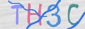 この文字を入力してください