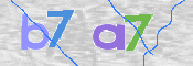 この文字を入力してください