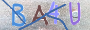 この文字を入力してください