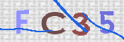 この文字を入力してください