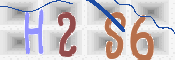 この文字を入力してください