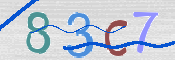 この文字を入力してください