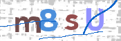 この文字を入力してください