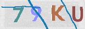 この文字を入力してください