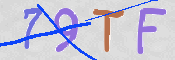 この文字を入力してください