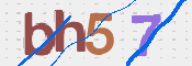 この文字を入力してください