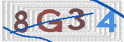 この文字を入力してください