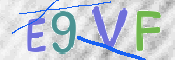 この文字を入力してください