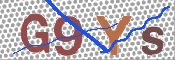 この文字を入力してください