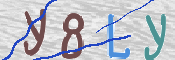 この文字を入力してください