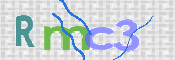この文字を入力してください