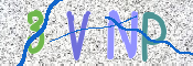 この文字を入力してください