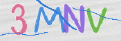 この文字を入力してください