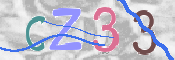 この文字を入力してください