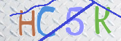 この文字を入力してください