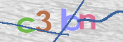 この文字を入力してください