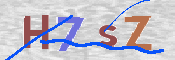 この文字を入力してください