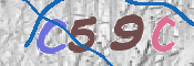 この文字を入力してください