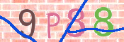 この文字を入力してください