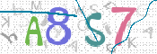 この文字を入力してください