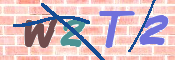 この文字を入力してください