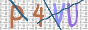 この文字を入力してください