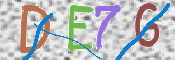 この文字を入力してください