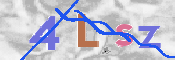 この文字を入力してください