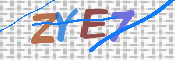 この文字を入力してください