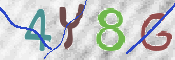 この文字を入力してください