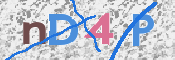 この文字を入力してください