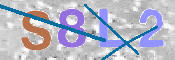 この文字を入力してください