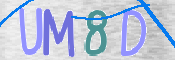 この文字を入力してください