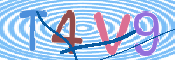 この文字を入力してください