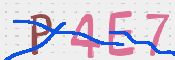 この文字を入力してください