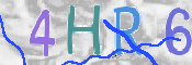 この文字を入力してください