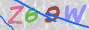 この文字を入力してください