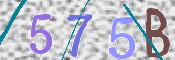 この文字を入力してください