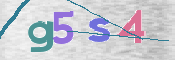 この文字を入力してください