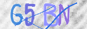 この文字を入力してください
