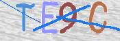 この文字を入力してください