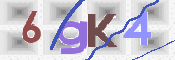 この文字を入力してください