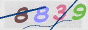 この文字を入力してください
