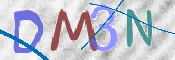 この文字を入力してください