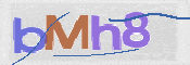 この文字を入力してください