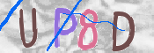 この文字を入力してください