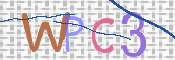 この文字を入力してください