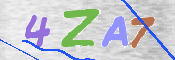 この文字を入力してください