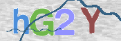 この文字を入力してください