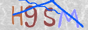この文字を入力してください